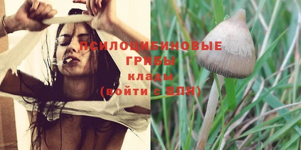 MDMA Дмитровск