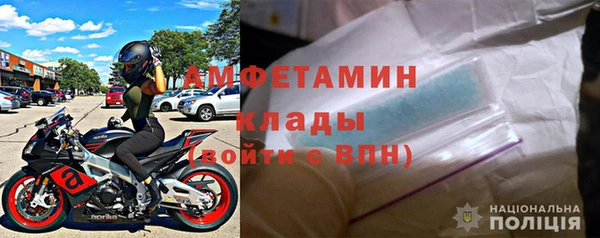 амф Дмитриев